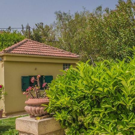 Sylvia'S Guest House Kavrokhorion Dış mekan fotoğraf
