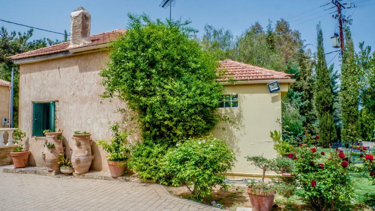 Sylvia'S Guest House Kavrokhorion Dış mekan fotoğraf